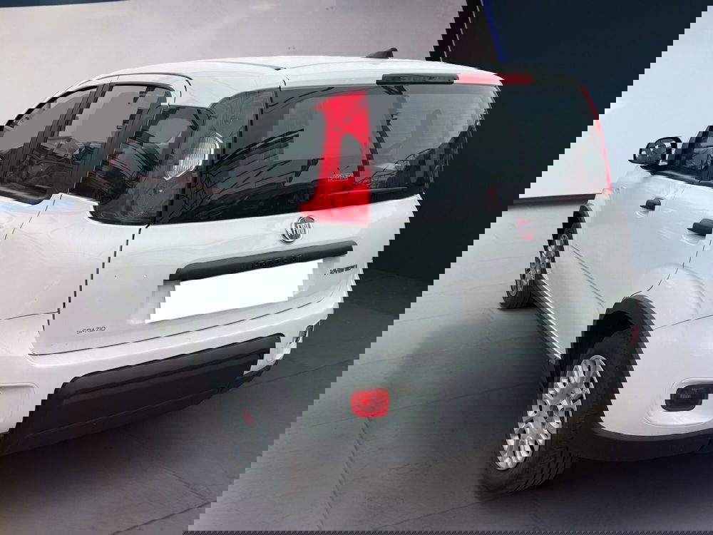 Fiat Panda usata a Torino (5)