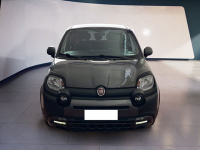 Fiat Panda Cross 1.0 firefly hybrid Cross s&amp;s 70cv 5p.ti del 2022 usata a Torino
