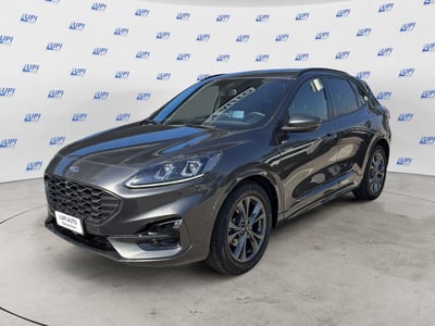 Ford Kuga 2.0 EcoBlue 120 CV aut. 2WD ST-Line X del 2023 usata a Serravalle Pistoiese