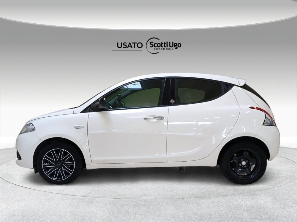 Lancia Ypsilon usata a Siena (5)