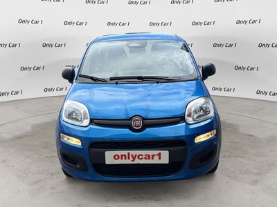 Fiat Panda Cross Cross 1.0 FireFly S&amp;S Hybrid nuova a Poggio Renatico