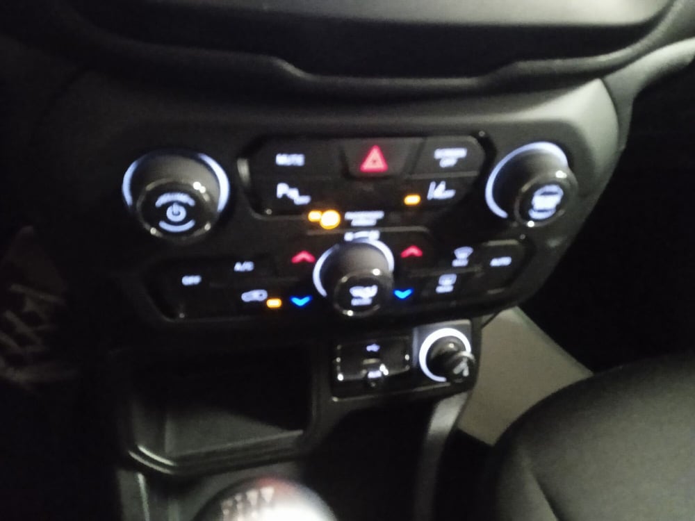 Jeep Renegade usata a Torino (16)