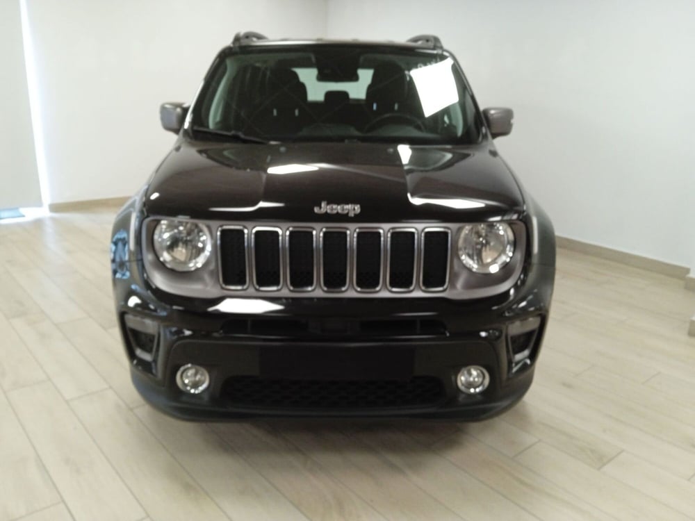 Jeep Renegade usata a Torino (2)