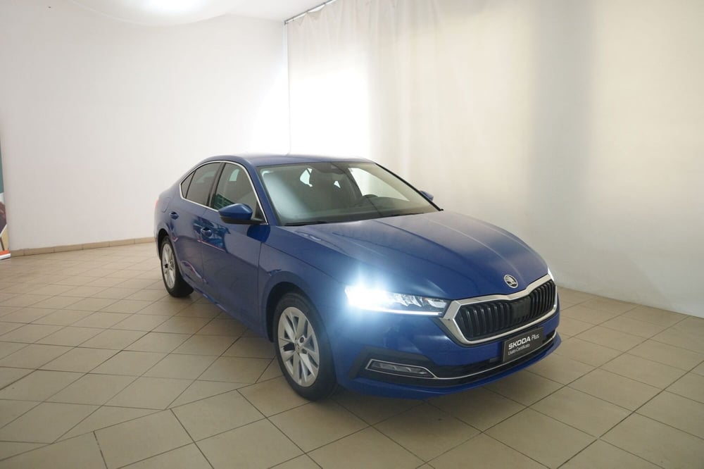 Skoda Octavia usata a Torino (19)