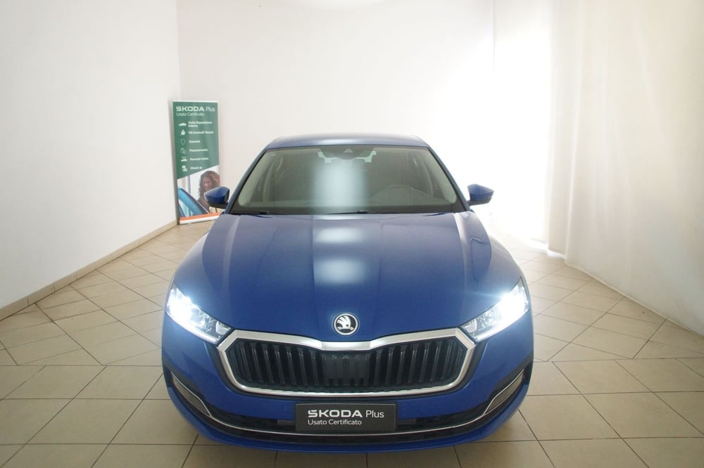 Skoda Octavia usata a Torino (20)