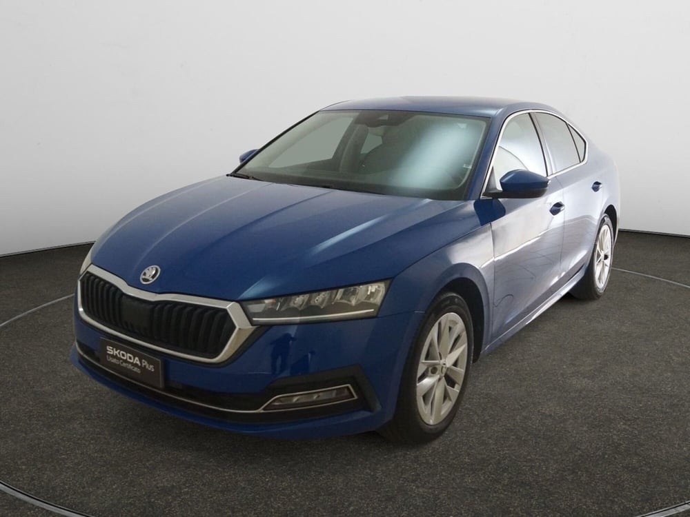 Skoda Octavia usata a Torino (3)