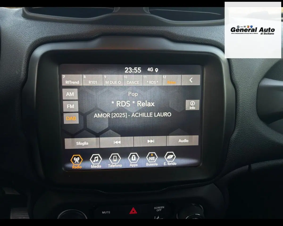 Jeep Renegade usata a Lucca (16)