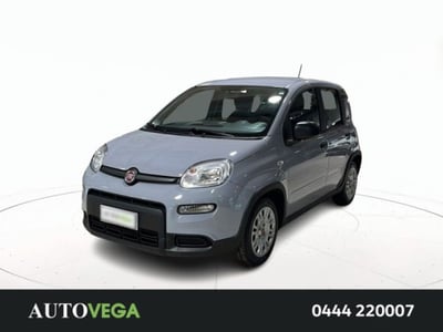 Fiat Panda 1.0 firefly hybrid s&amp;s 70cv 5p.ti del 2023 usata a Arzignano