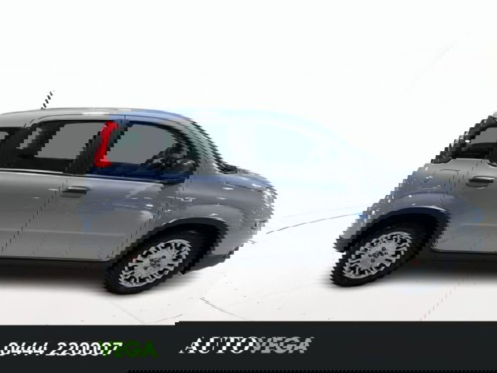Fiat Panda usata a Vicenza (3)