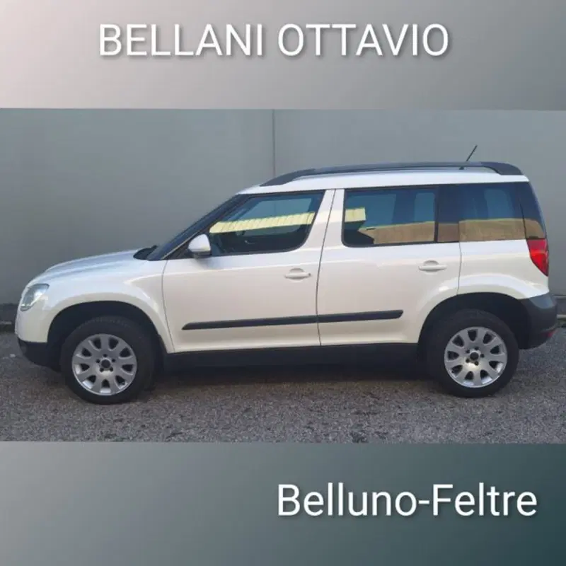 Skoda Yeti usata a Belluno (5)