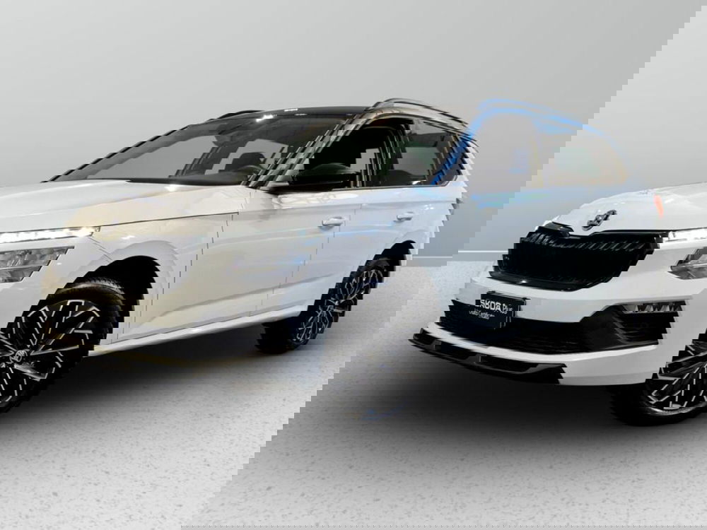 Skoda Kamiq usata a Padova