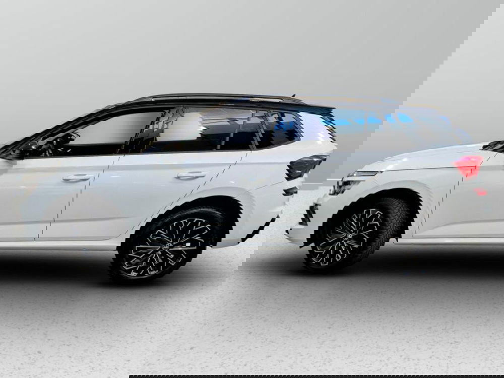 Skoda Kamiq usata a Padova (2)