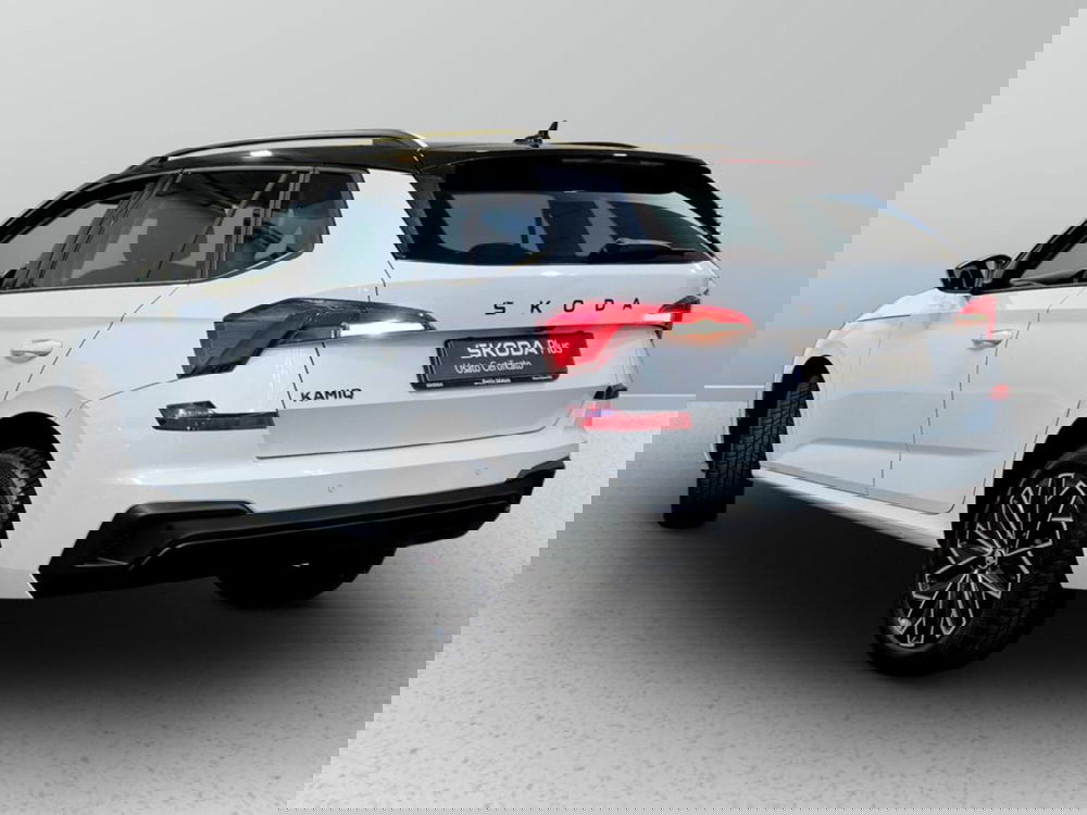 Skoda Kamiq usata a Padova (3)