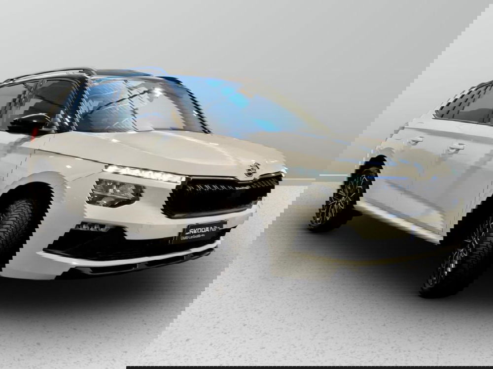 Skoda Kamiq usata a Padova (4)