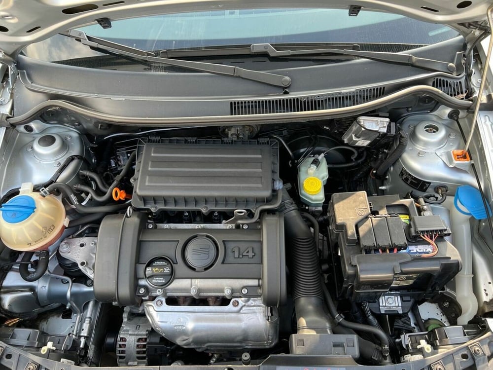 SEAT Ibiza usata a Sondrio (15)