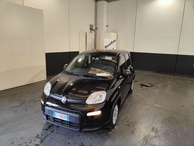 Fiat Panda Cross Cross 1.0 FireFly S&amp;S Hybrid del 2024 usata a Milano