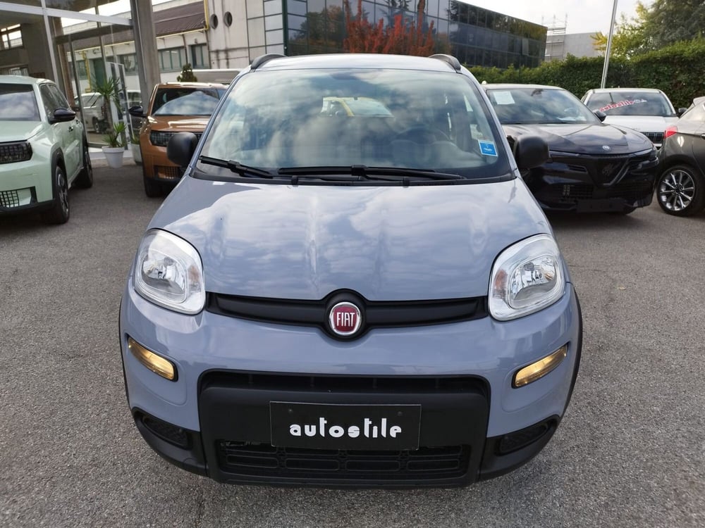 Fiat Panda usata a Reggio Emilia (2)