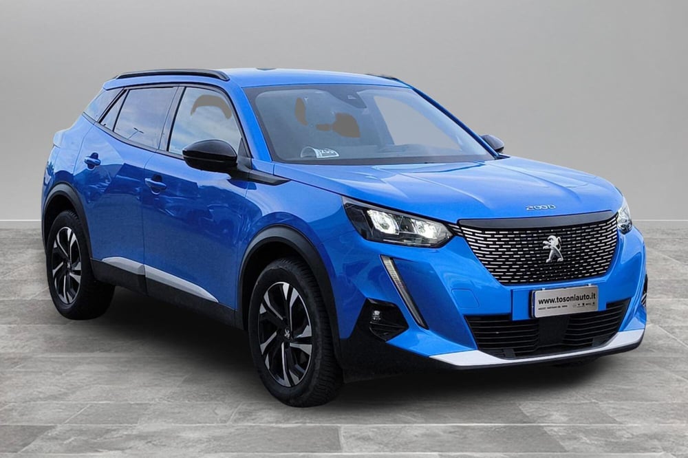 Peugeot 2008 usata a Siena (2)