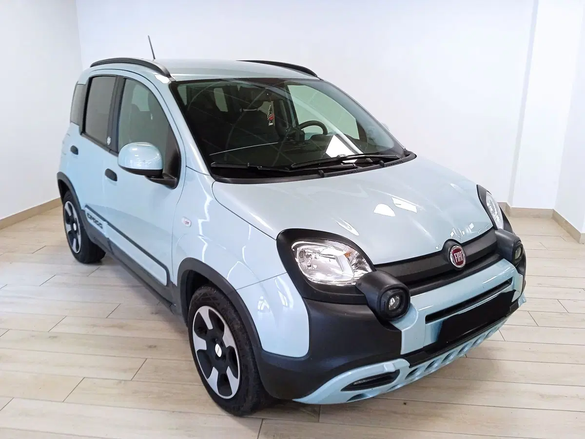Fiat Panda Cross usata a Torino