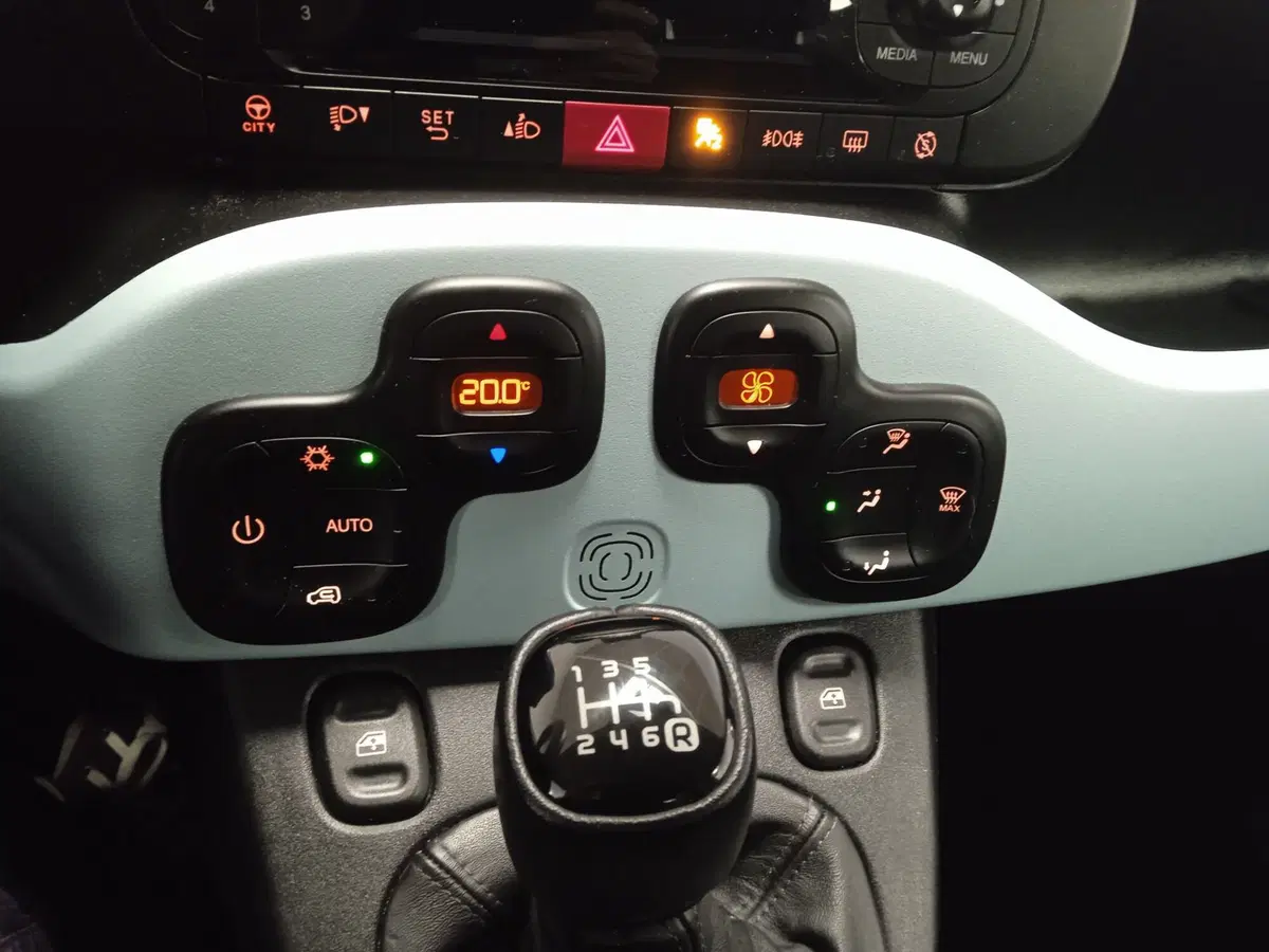 Fiat Panda Cross usata a Torino (10)