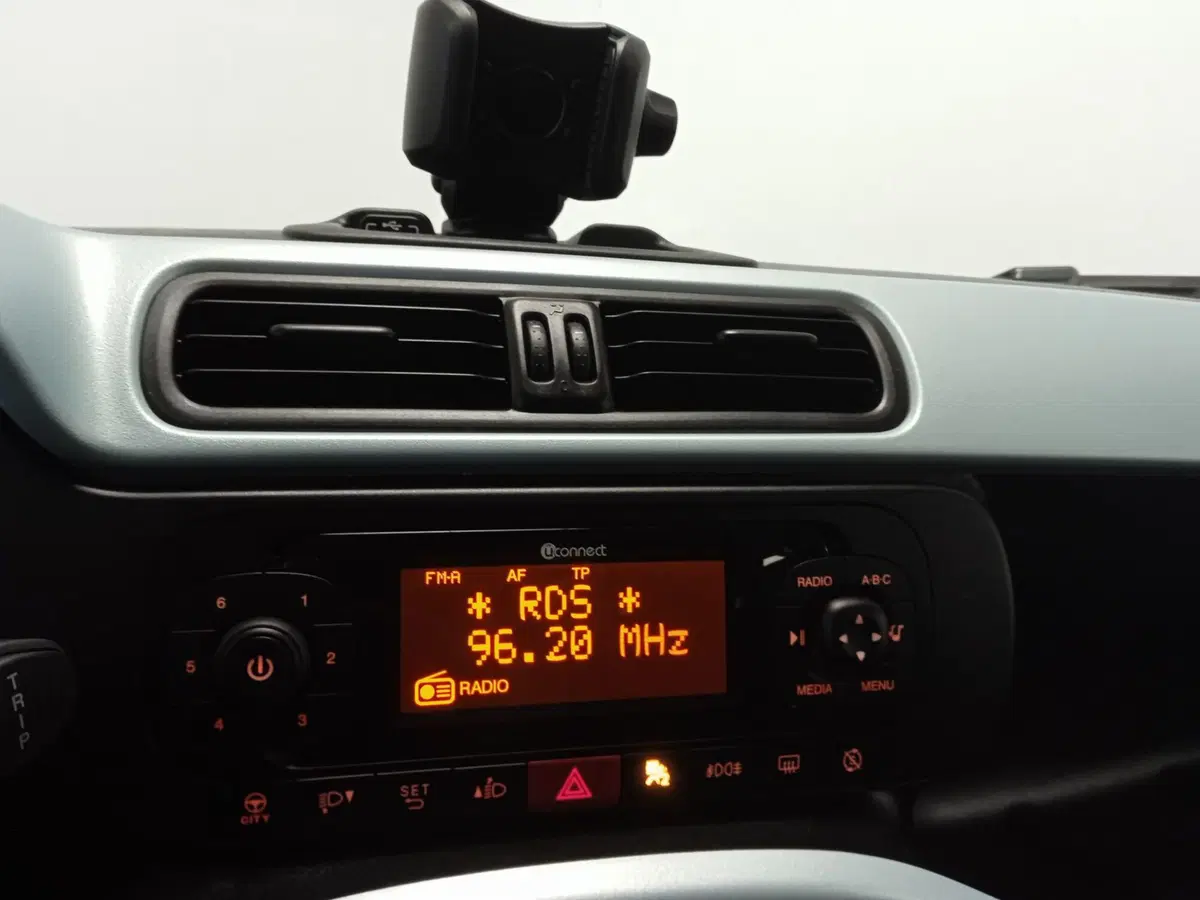 Fiat Panda Cross usata a Torino (11)