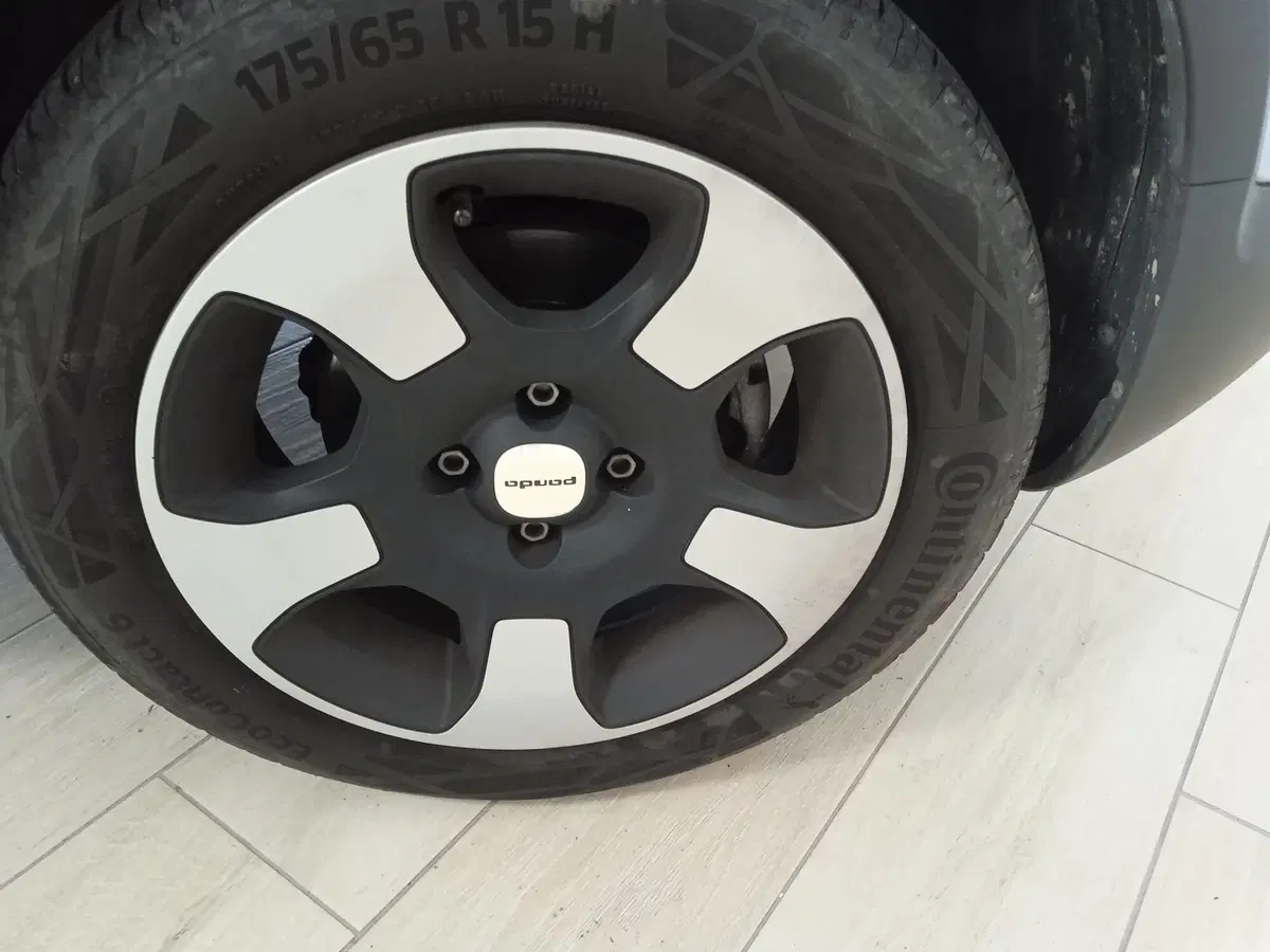 Fiat Panda Cross usata a Torino (15)