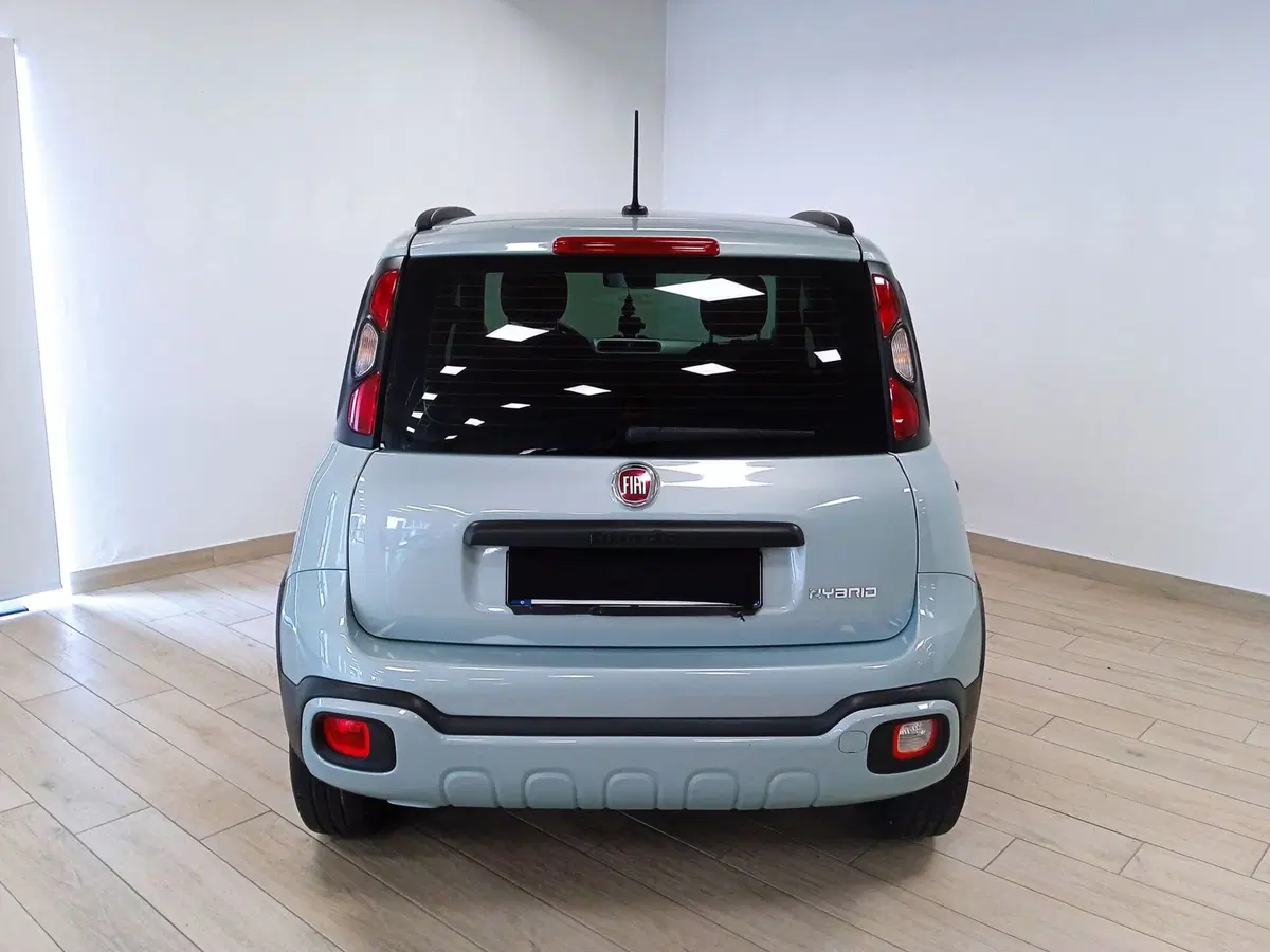 Fiat Panda Cross usata a Torino (4)