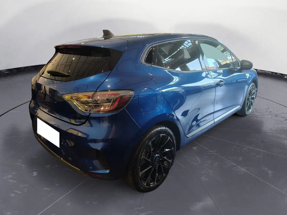 Renault Clio usata a Rimini (2)