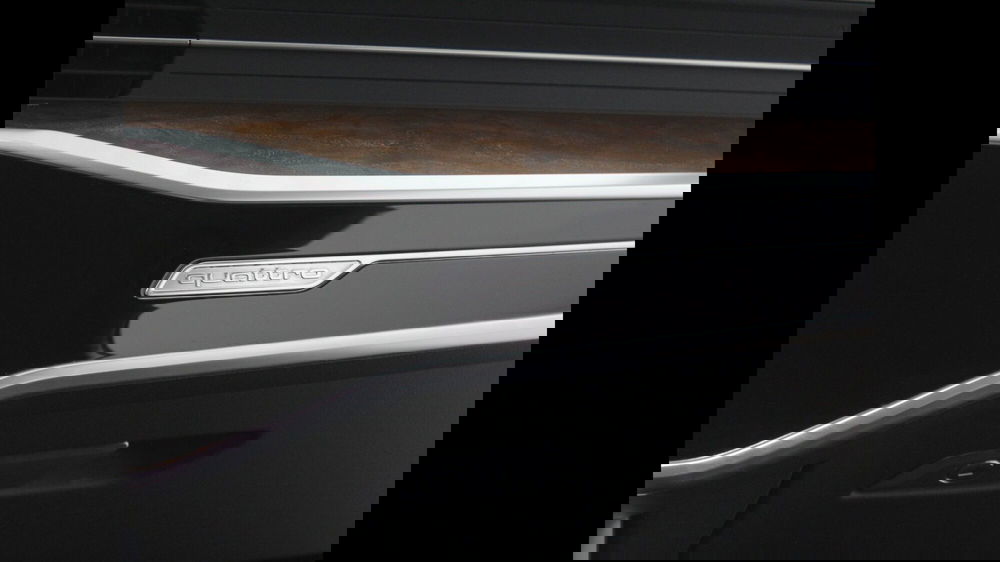 Audi A6 usata a Palermo (14)