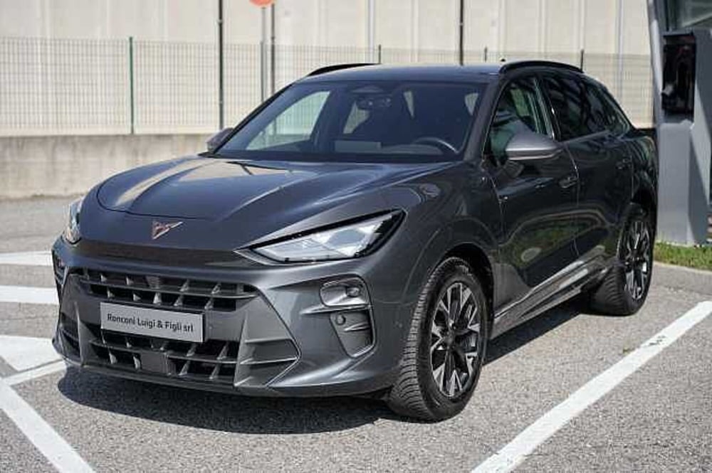Cupra Terramar usata a Rovigo