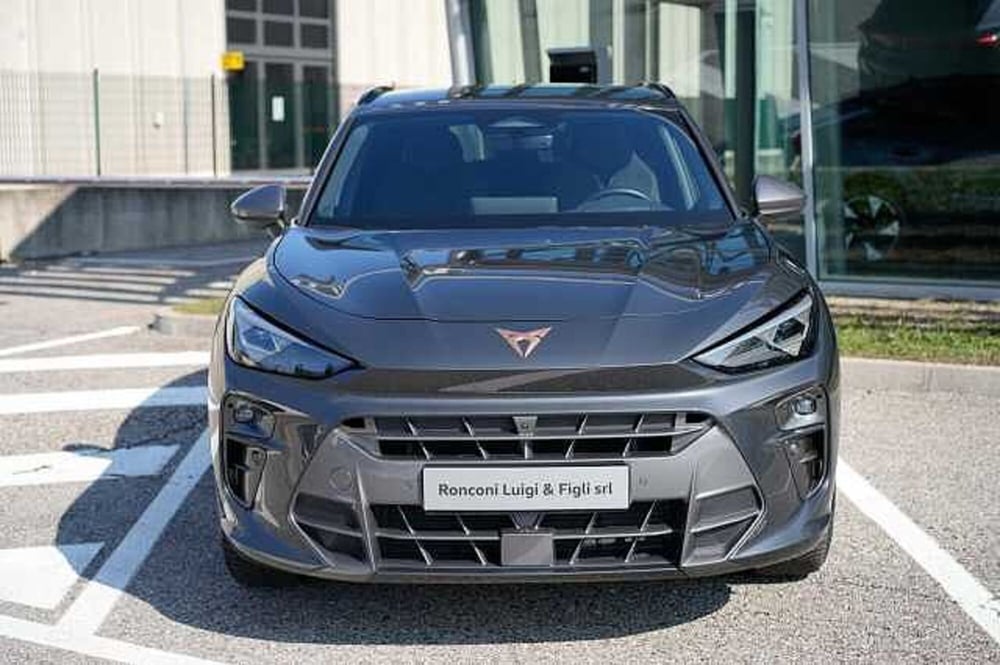 Cupra Terramar usata a Rovigo (2)