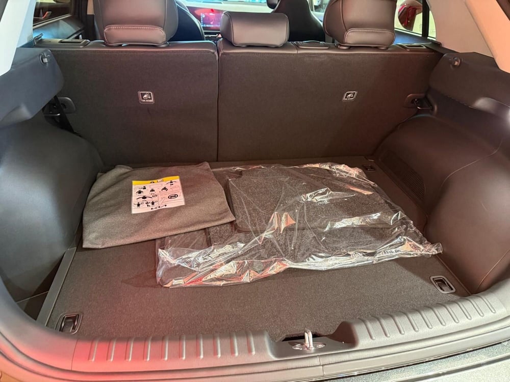 Kia Niro nuova a Arezzo (20)