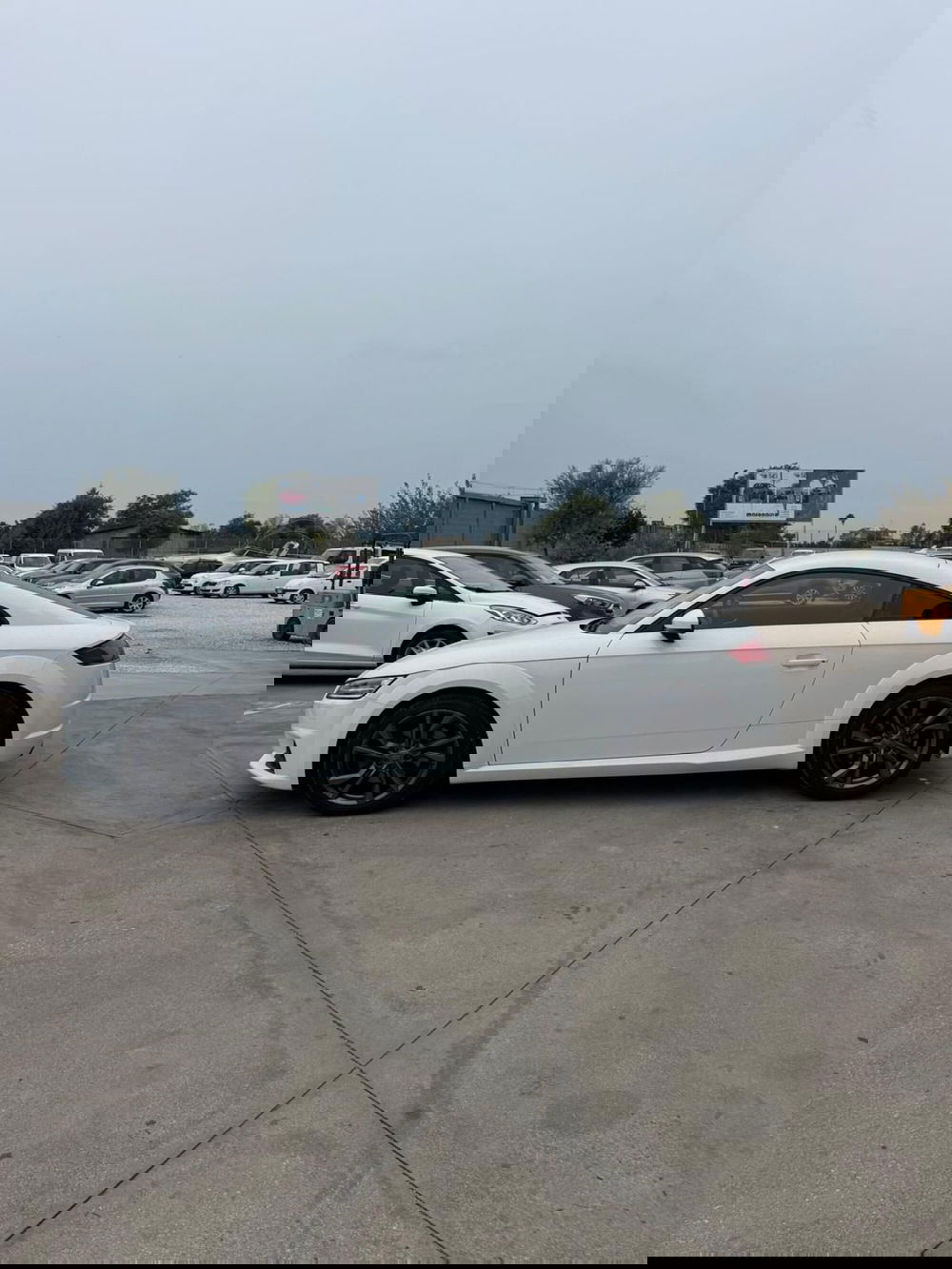 Audi TT Cabrio usata a Caserta (3)