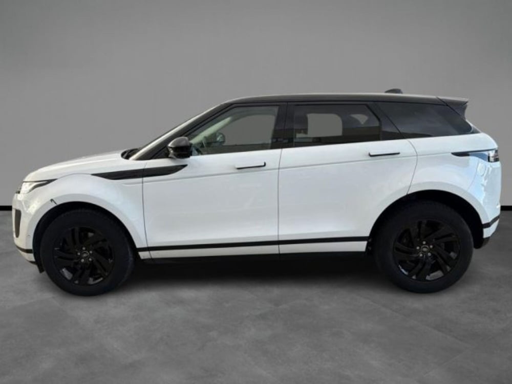 Land Rover Range Rover Evoque usata a Lecce (2)