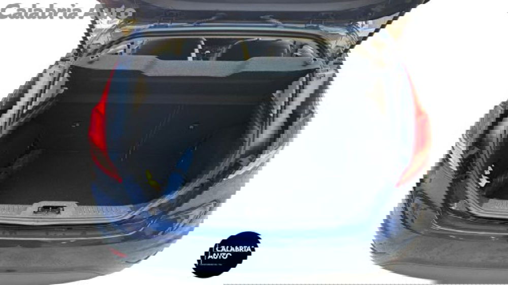 Ford Fiesta usata a Reggio Calabria (5)