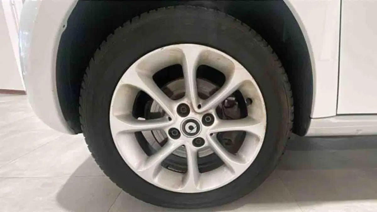 smart forfour usata a Torino (7)