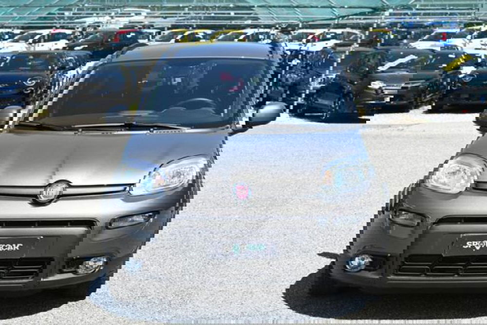 Fiat Panda usata a Torino (2)