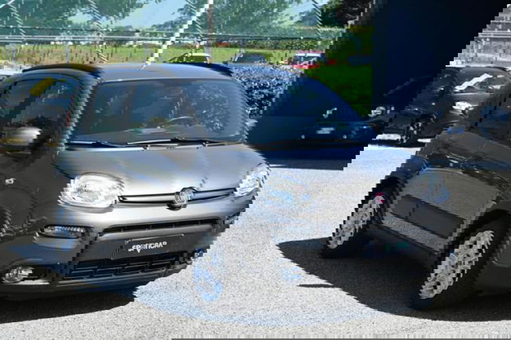 Fiat Panda usata a Torino (3)