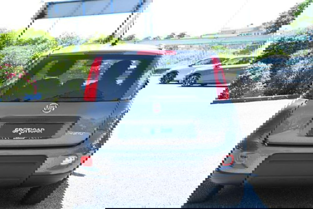 Fiat Panda usata a Torino (6)