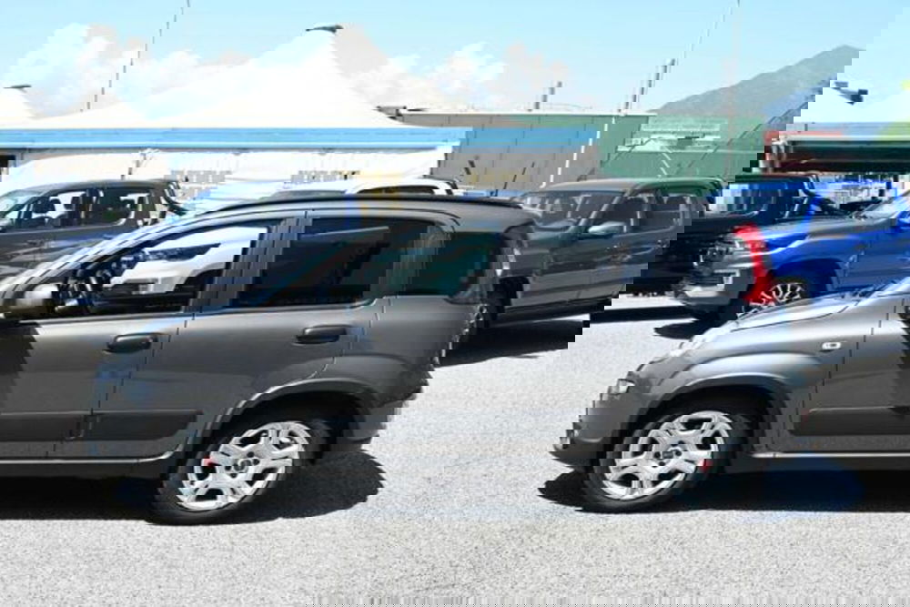 Fiat Panda usata a Torino (8)
