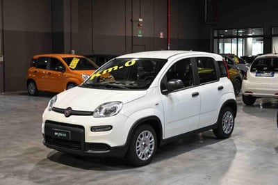 Fiat Panda 1.0 firefly hybrid s&amp;s 70cv 5p.ti nuova a Pianezza