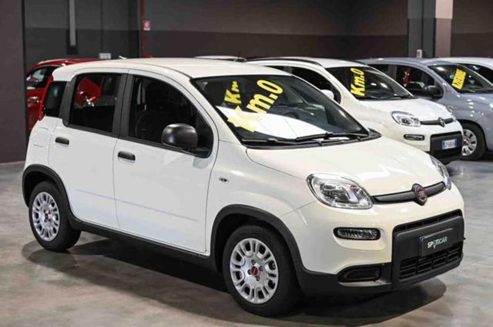 Fiat Panda nuova a Torino (3)
