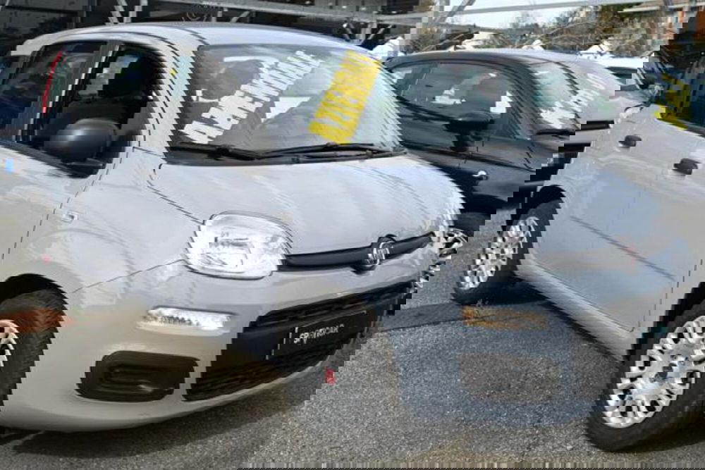 Fiat Panda usata a Torino (3)
