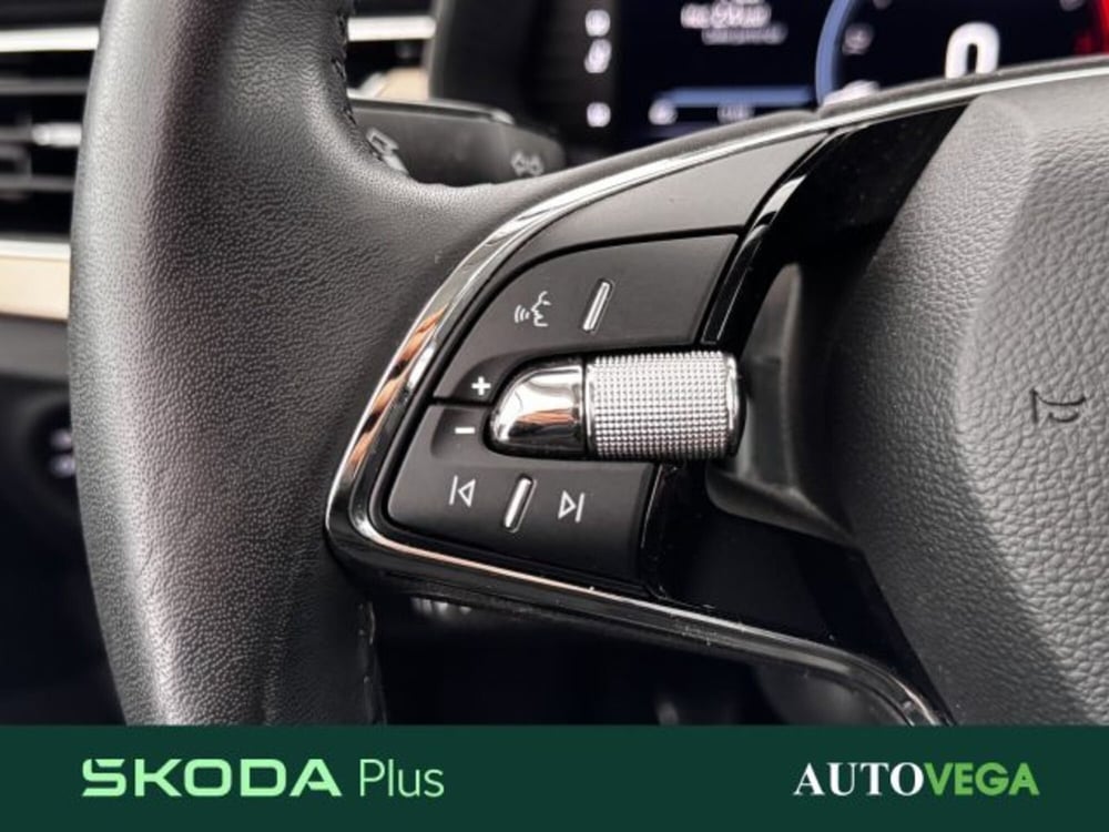 Skoda Kamiq usata a Vicenza (16)