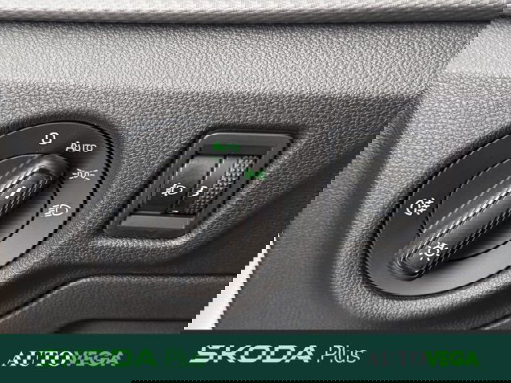 Skoda Kamiq usata a Vicenza (12)