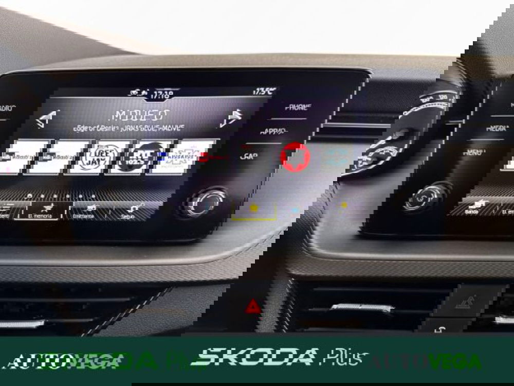 Skoda Kamiq usata a Vicenza (14)
