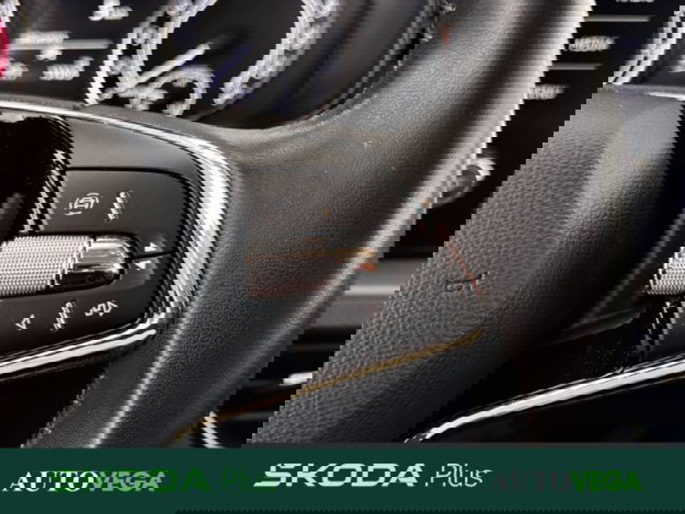 Skoda Kamiq usata a Vicenza (19)