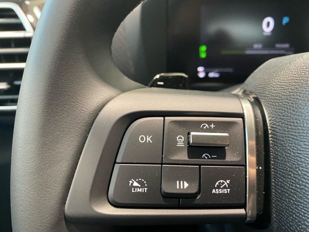 Citroen C4 nuova a Torino (13)