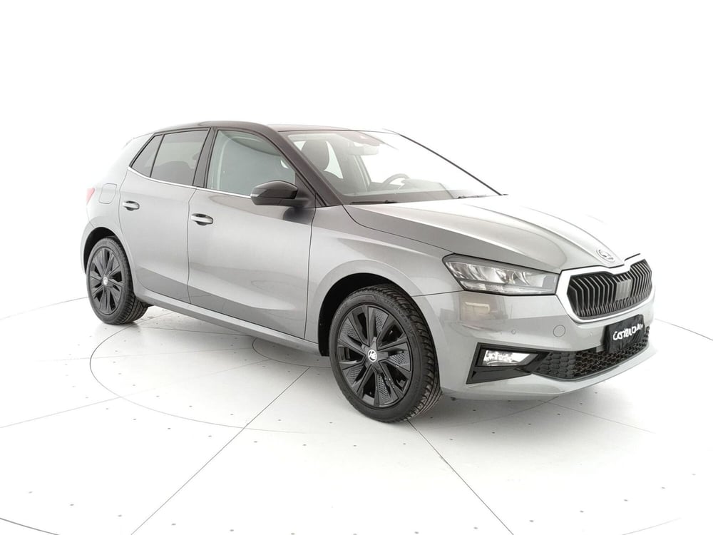 Skoda Fabia usata a Caserta (3)