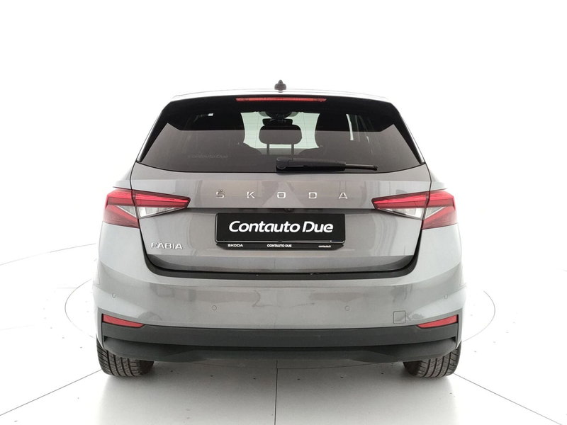 Skoda Fabia usata a Caserta (6)